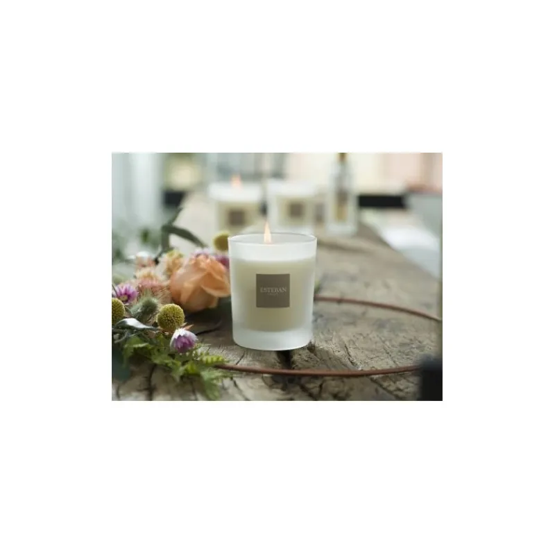 Bougies Parfumées | Bougies Décoratives<ESTEBAN Bougie parfumée 180 gr Ambre et Baume,