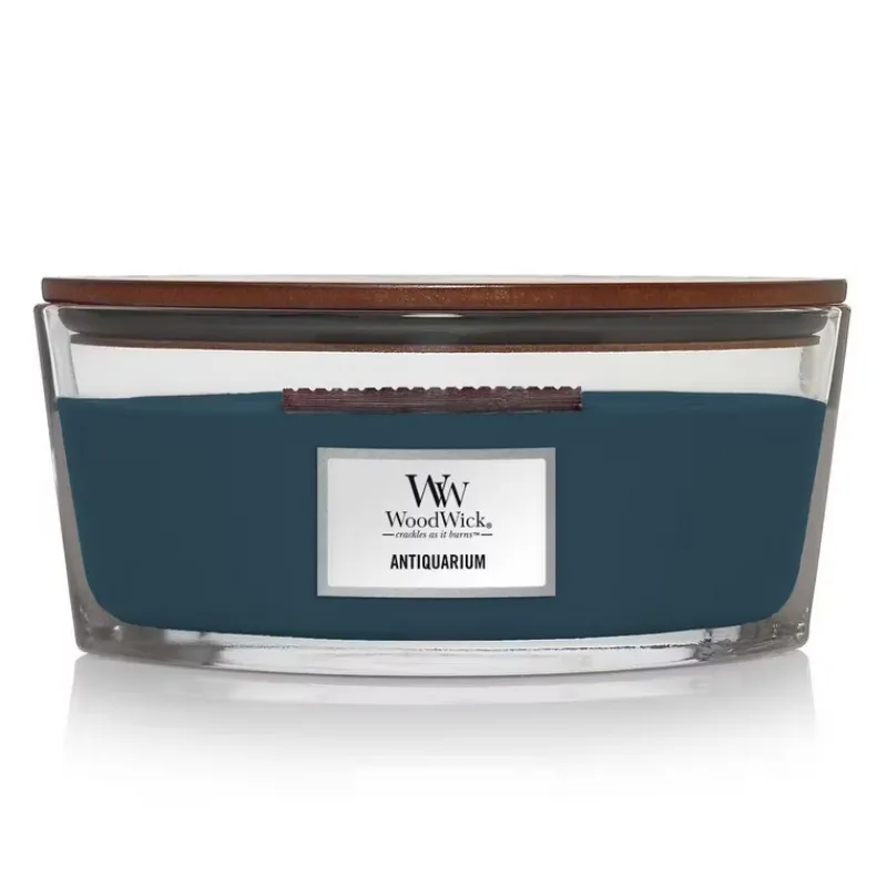 Parfums D'Intérieur | Bougies Parfumées<Woodwick Bougie parfumée Ellipse Antiquarium,