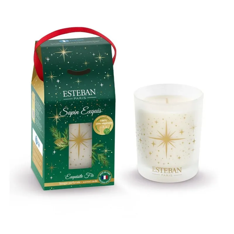 Bougies Parfumées | Bougies Décoratives<ESTEBAN Bougie parfumée 180g Sapin Exquis,