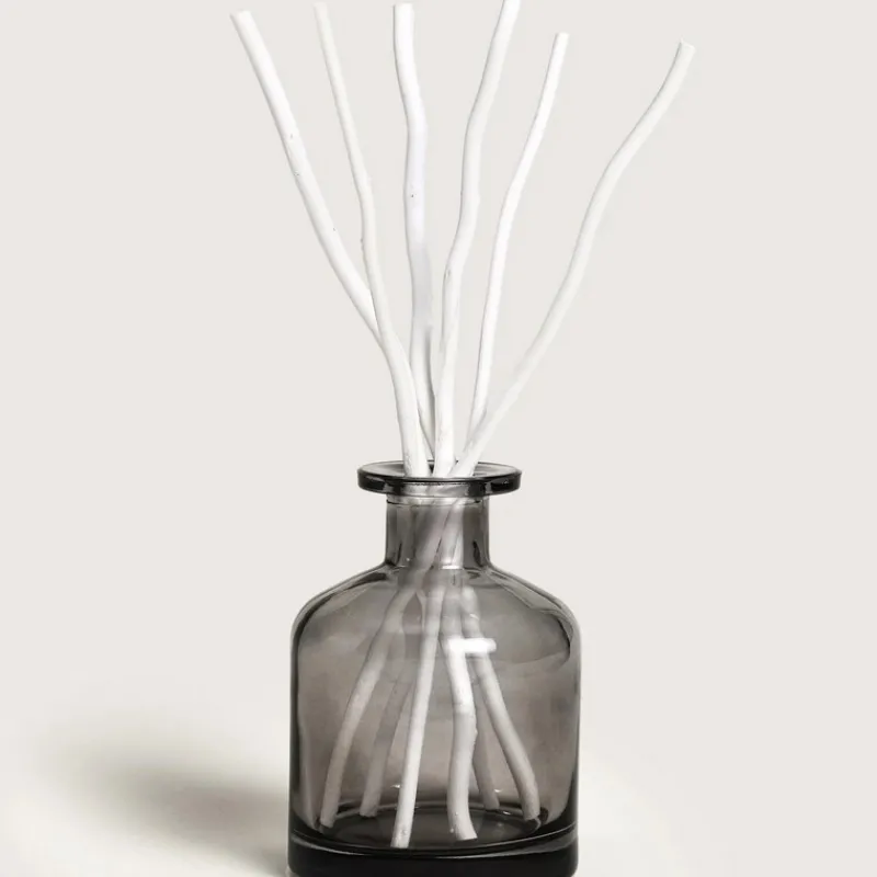 Diffuseurs De Parfum D'Intérieur<MAISON BERGER Bouquet parfumé Aroma Dream,