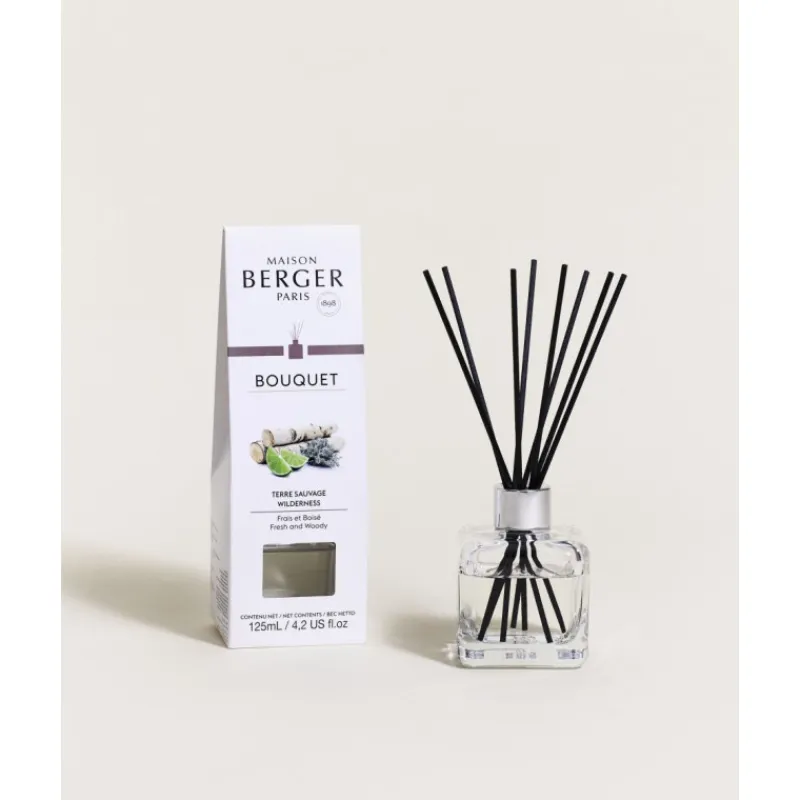 Diffuseurs De Parfum D'Intérieur<MAISON BERGER Bouquet parfumé Terre sauvage,