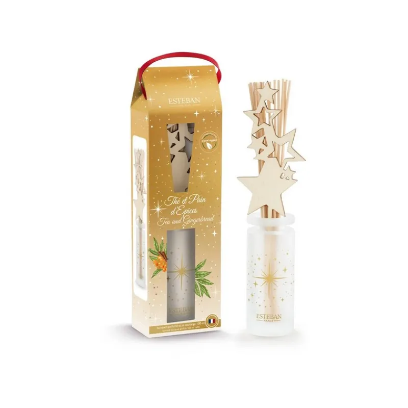Diffuseurs De Parfum D'Intérieur<ESTEBAN Bouquet parfumé Thé et Pain d'épices,