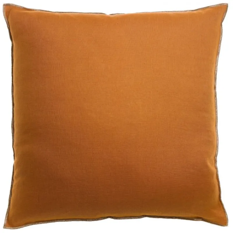 Coussins Et Rideaux<VIVARAISE Coussin Zeff Céleste 45 x 45 cm,