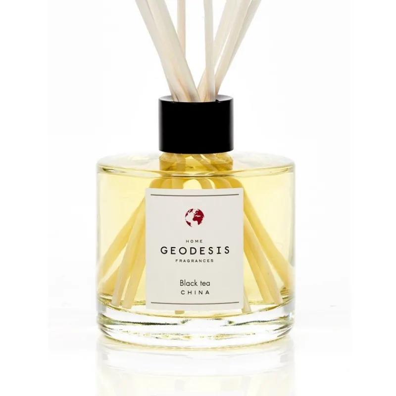 Diffuseurs De Parfum D'Intérieur<GEODESIS Diffuseur de parfum Thé Noir,