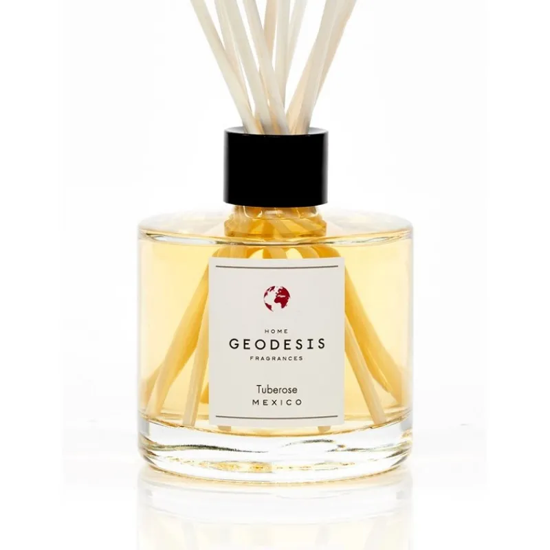 Diffuseurs De Parfum D'Intérieur<GEODESIS Diffuseur de parfum Tubéreuse,