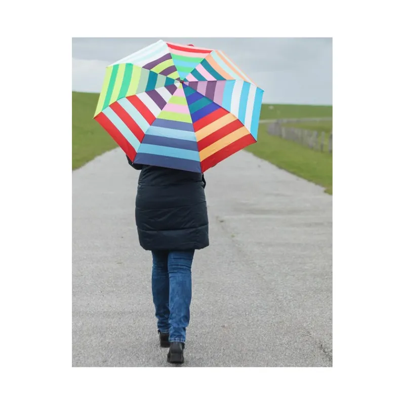 Les Accessoires<Remember Parapluie Allegra,