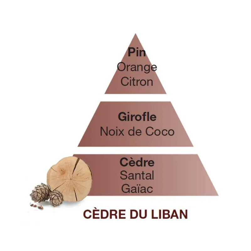 Parfums D'Intérieur<MAISON BERGER Parfum Cèdre du Liban 500 ml,