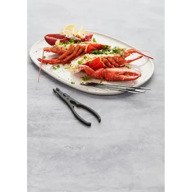 Ustensiles Pour Les Fruits De Mer<Point Virgule Set 5 pièces Homard Acier Noir,