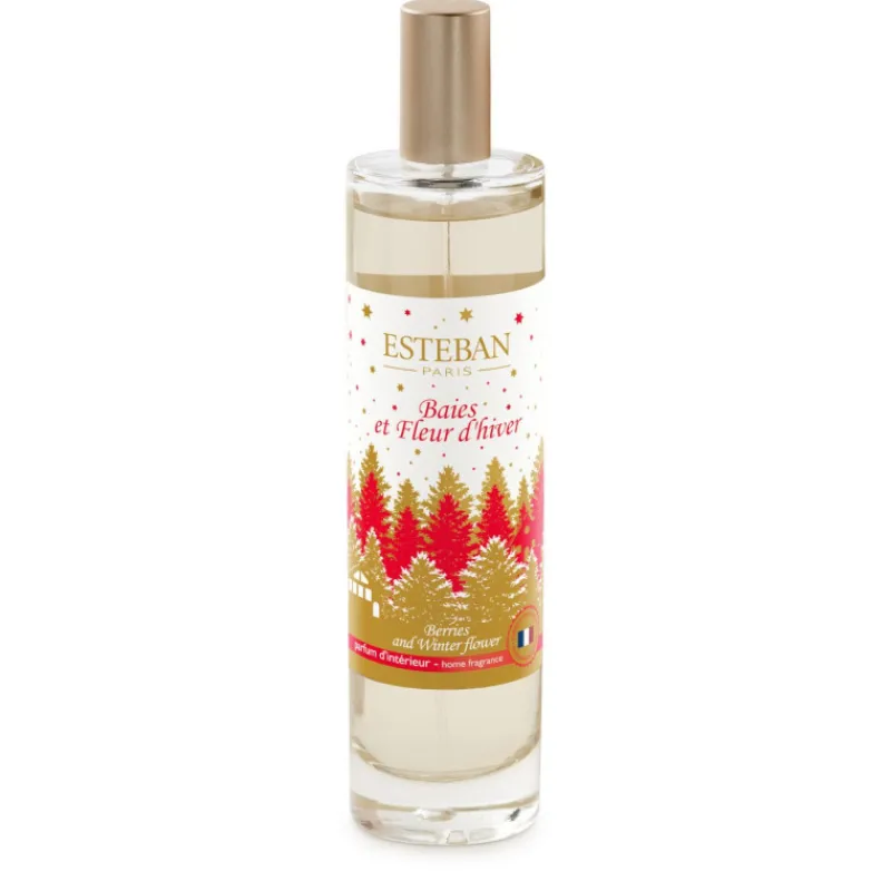 Diffuseurs De Parfum D'Intérieur<ESTEBAN Vaporisateur 75 ml Baies et Fleur d'Hiver,